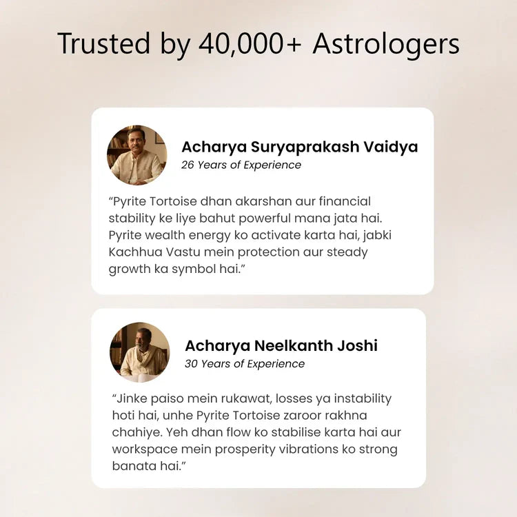 Dhan Lakshmi Bracelet with Vastu Pyrite Tortoise (Kachhua)