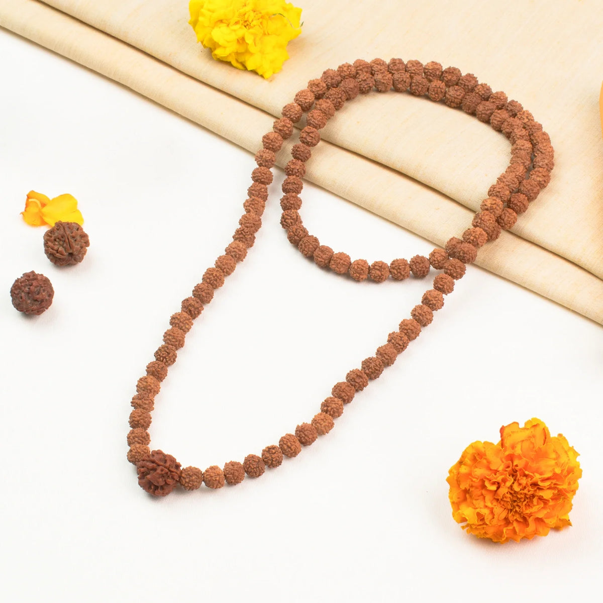 3 Mukhi Rudraksha Bead in 5 Mukhi Rudraksha Mala