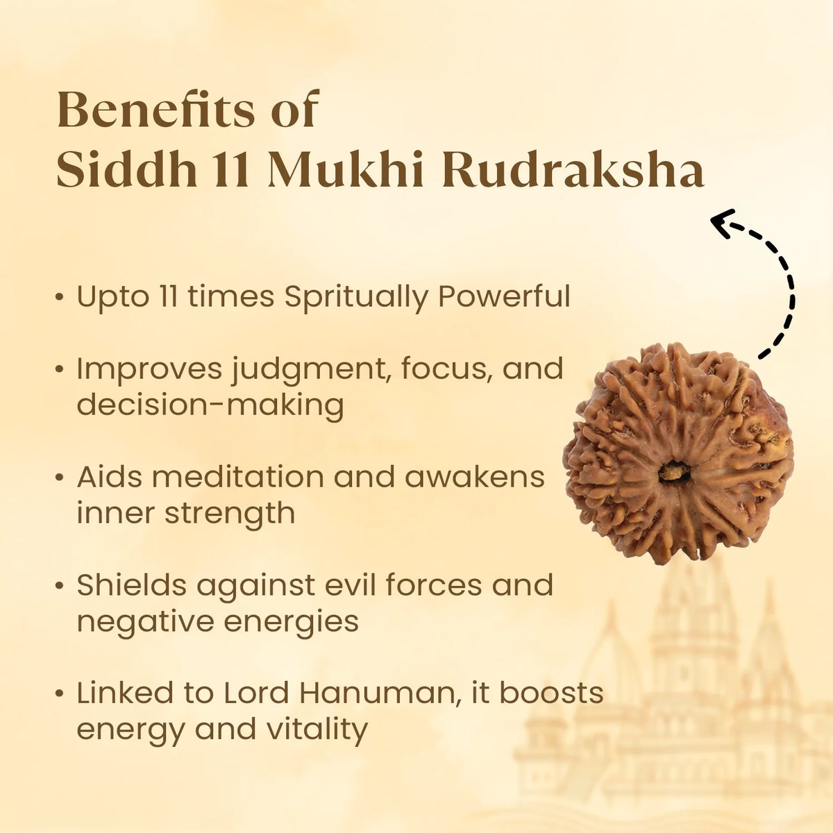 Kashi Siddh Nepal Origin 11 Mukhi Rudraksha - 17mm to 22mm