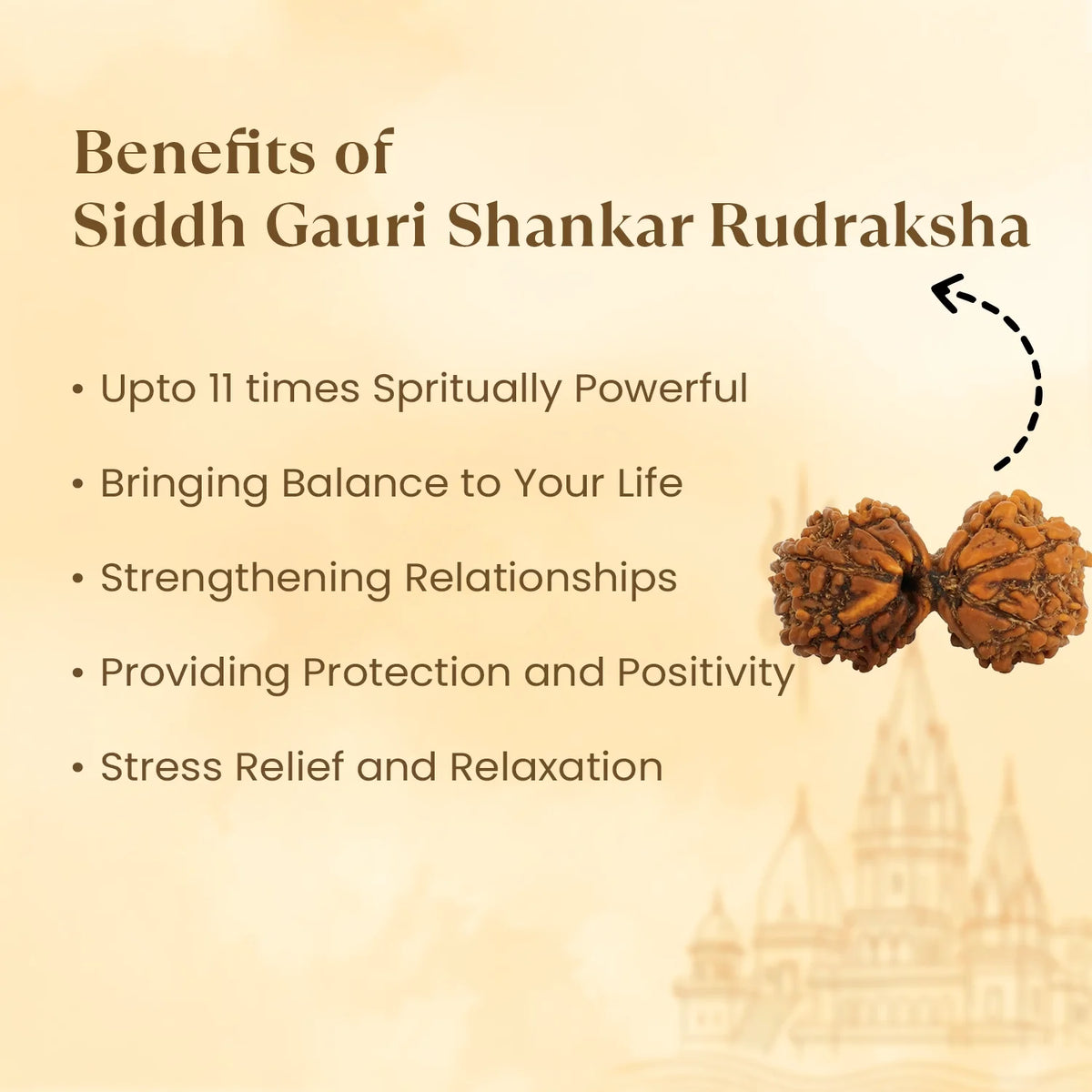 Kashi Siddh Nepal Origin Gauri Shankar Rudraksha - 17mm to 22mm