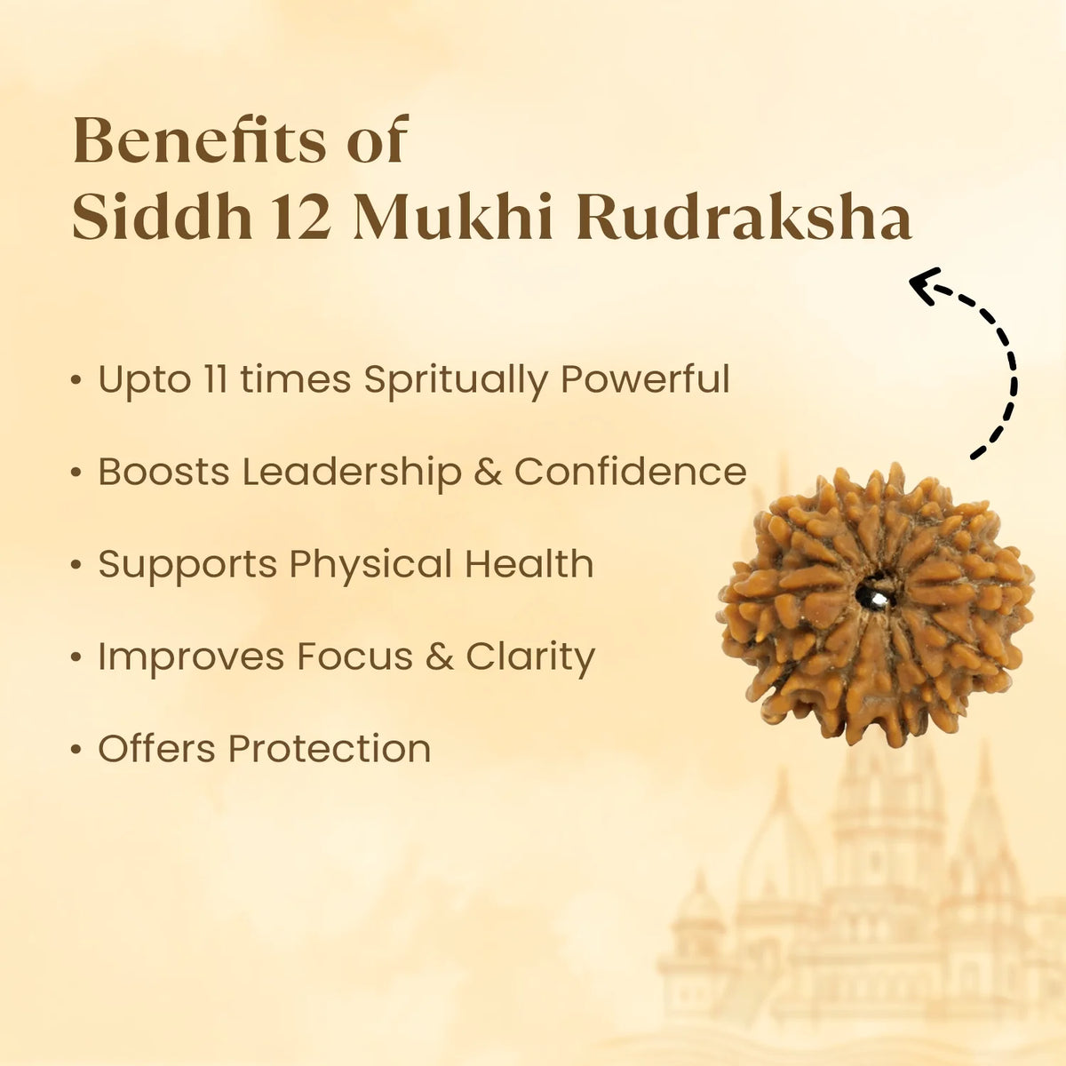 Kashi Siddh Nepal Origin 12 Mukhi Rudraksha - 17mm to 22mm
