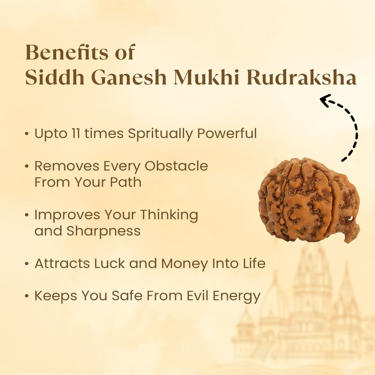 Kashi Siddh Nepal Origin Ganesh Mukhi Rudraksha - 17mm to 22mm