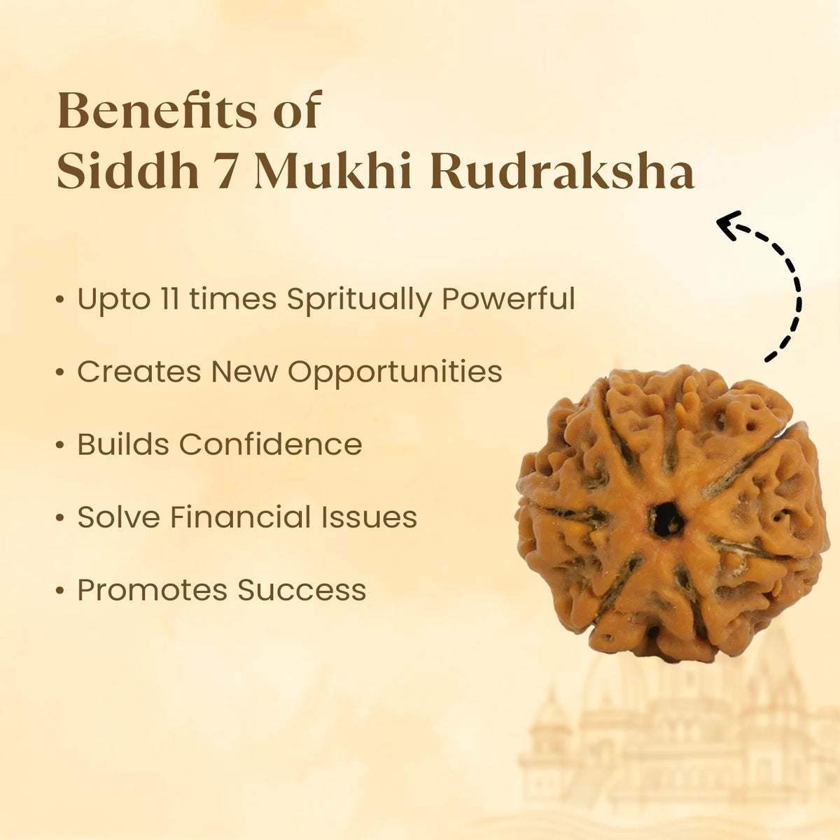 Kashi Siddh Nepal Origin 7 Mukhi Rudraksha - 17mm to 22mm