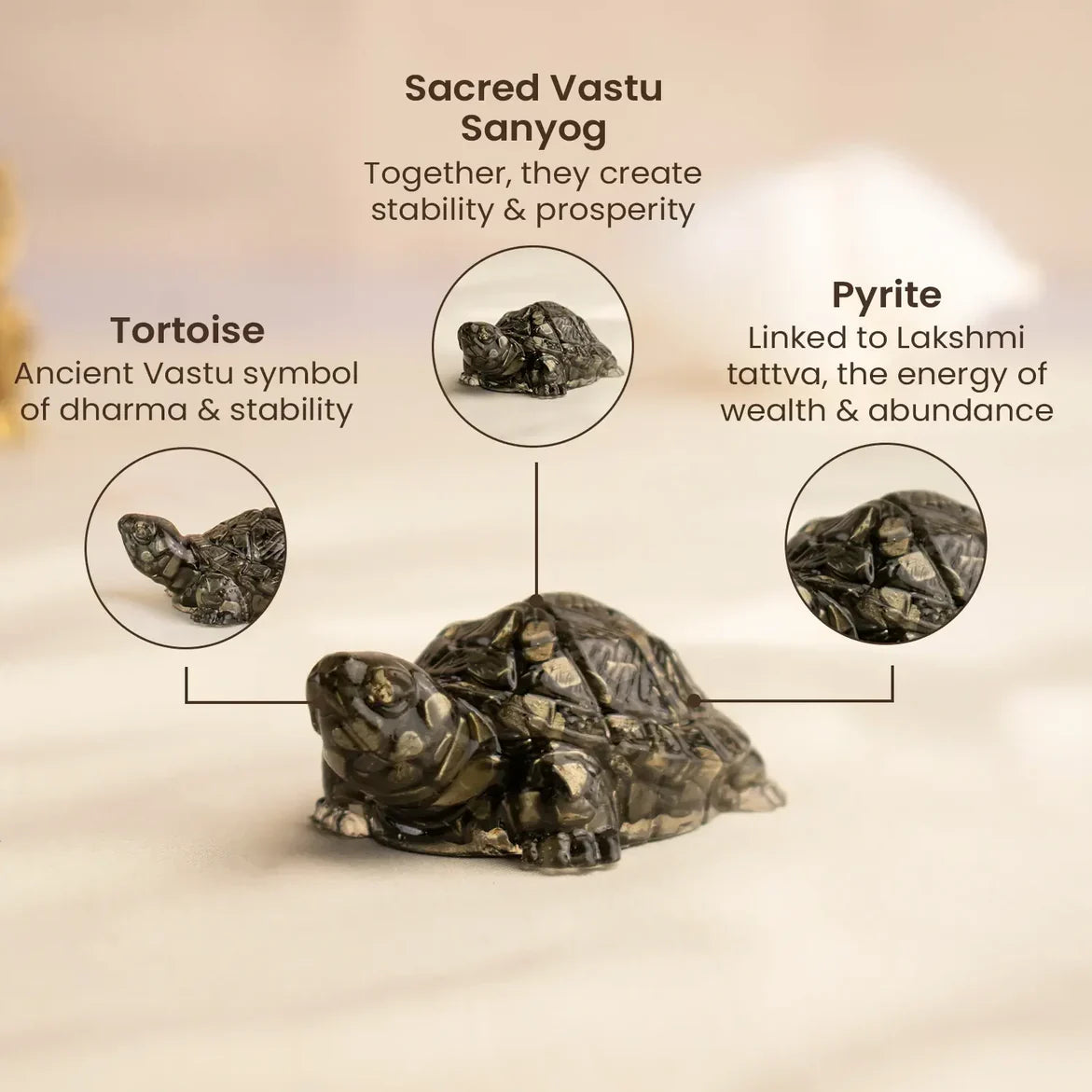 Maha Lakshmi Siddh Vastu Pyrite Tortoise (Kachhua)