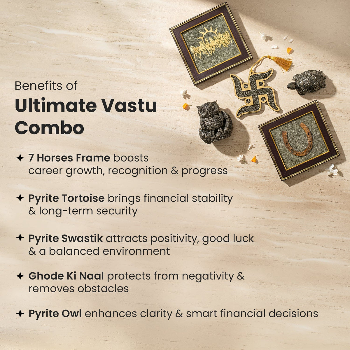 Ultimate Vastu Combo