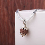 Indonesian Rudraksha pendant on white stand with silver snake chain