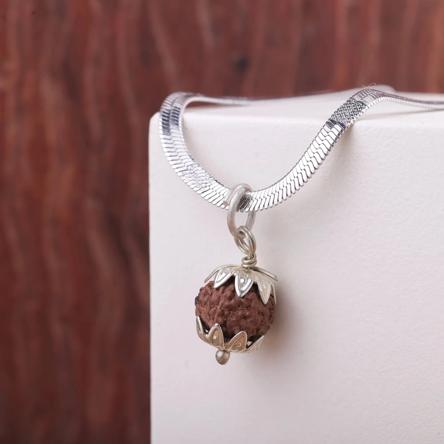 Indonesian Rudraksha pendant on white stand with silver snake chain