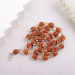 5 Mukhi Rudraksha mala laid flat, showing full bead count and gold-tone spacers