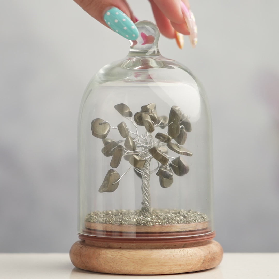 Pyrite Dome Tree